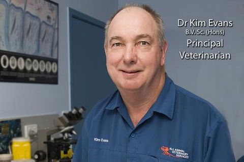All Animal Veterinary Services Pty Ltd - Gold Coast Vets 2