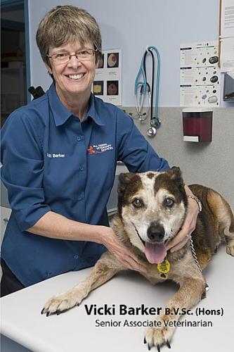 All Animal Veterinary Services Pty Ltd - Gold Coast Vets 3