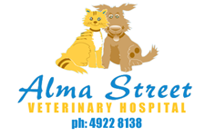  Gold Coast Vets