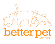 Andergrove Better Pet Vets - Gold Coast Vets 0