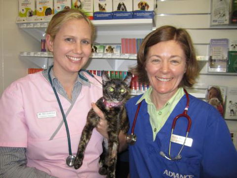 Andergrove Veterinary Clinic - Gold Coast Vets 1