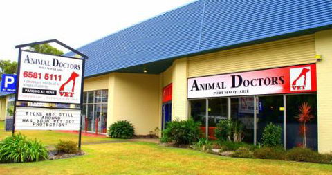 Animal Doctors Port Macquarie - Gold Coast Vets 1