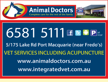 Animal Doctors Port Macquarie - Gold Coast Vets 4