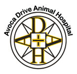 Avoca Drive Animal Hospital - Gold Coast Vets