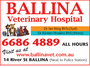 Ballina Veterinary Hospital - Gold Coast Vets 6