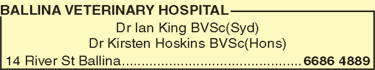 Ballina Veterinary Hospital - Gold Coast Vets 7