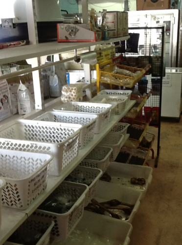 Bazza's Pet Shack - Gold Coast Vets 4