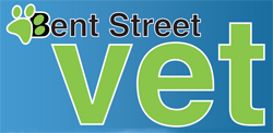 Bent St Vet - Gold Coast Vets 0