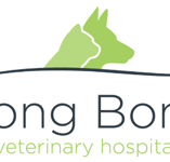 BONG BONG VETerinary Hospital - Gold Coast Vets