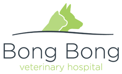 BONG BONG VETerinary Hospital - Gold Coast Vets 0
