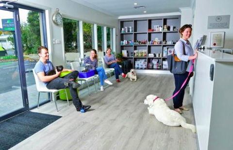 BONG BONG VETerinary Hospital - Gold Coast Vets 5