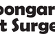 Boongarry Vet Surgery - thumb 0