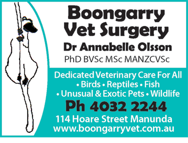 Boongarry Vet Surgery - Gold Coast Vets 3