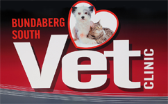 Gold Coast Vets