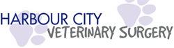 Bunkum Rebecca Veterinary Surgeon - Gold Coast Vets 0