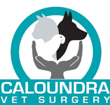 Caloundra Vet - Gold Coast Vets
