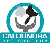 Caloundra Vet - Gold Coast Vets 0