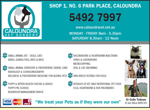 Caloundra Vet - Gold Coast Vets 4