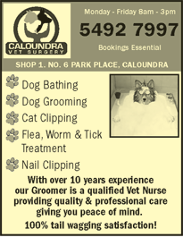 Caloundra Vet - Gold Coast Vets 5