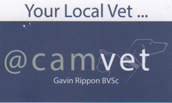 Camvet - Gold Coast Vets 0