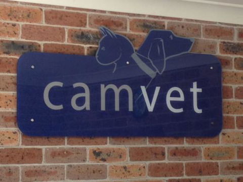 Camvet - Gold Coast Vets 2