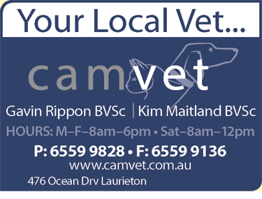 Camvet - Gold Coast Vets 3