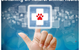 Canine Holistic Wellness Centre - thumb 2