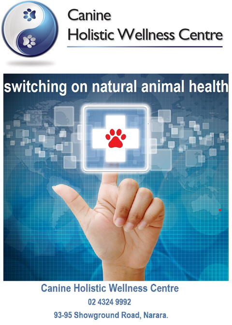 Canine Holistic Wellness Centre - Gold Coast Vets 2