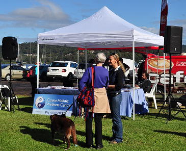 Canine Holistic Wellness Centre - Gold Coast Vets 5