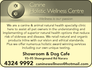 Canine Holistic Wellness Centre - Gold Coast Vets 6