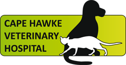 Cape Hawke Veterinary Hospital - Gold Coast Vets 0