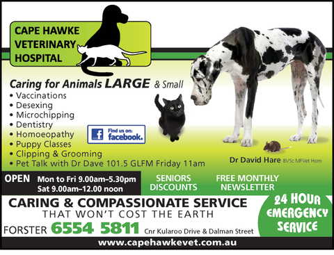 Cape Hawke Veterinary Hospital - Gold Coast Vets 1