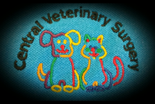Central Veterinary Surgery - Gold Coast Vets 0