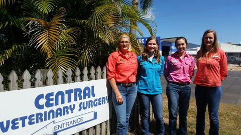 Central Veterinary Surgery - Gold Coast Vets 1