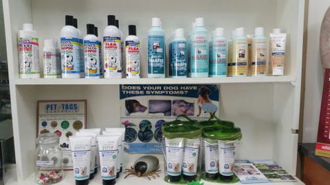 Central Veterinary Surgery - Gold Coast Vets 2