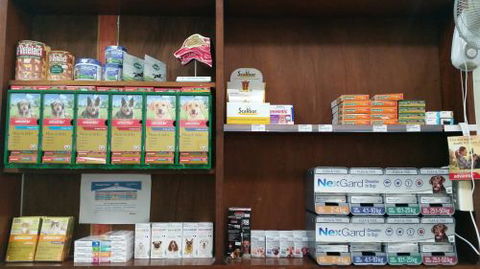 Central Veterinary Surgery - Gold Coast Vets 4