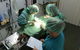 Central Veterinary Surgery - thumb 5