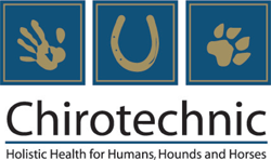Chirotechnic - Gold Coast Vets 0