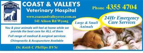Coast And Valleys Veterinary Hospital - Gold Coast Vets 2