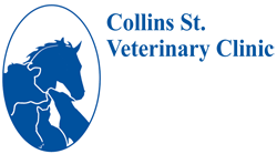  Gold Coast Vets
