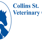 Collins St Veterinary Clinic - Gold Coast Vets