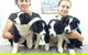 Cooroy Veterinary Surgery - thumb 3