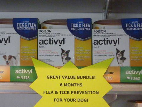 Cooroy Veterinary Surgery - Gold Coast Vets 4