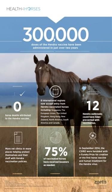 Cooroy Veterinary Surgery - Gold Coast Vets 5
