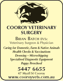 Cooroy Veterinary Surgery - Gold Coast Vets 6