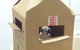 Cooroy Veterinary Surgery - thumb 12