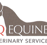 CQ Equine Veterinary Service - Gold Coast Vets