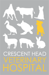 Crescent Head Veterinary Hospital - Gold Coast Vets 0