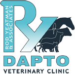 Dapto Veterinary Clinic - Gold Coast Vets 0
