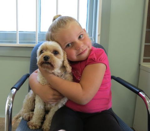 Dapto Veterinary Clinic - Gold Coast Vets 5